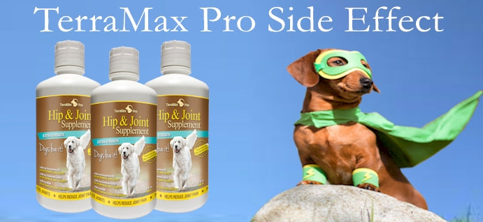 Hip & Joint Supplement for Dogs - Liquid Glucosamine
