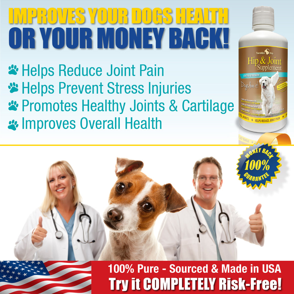 Hip & Joint Supplement for Dogs