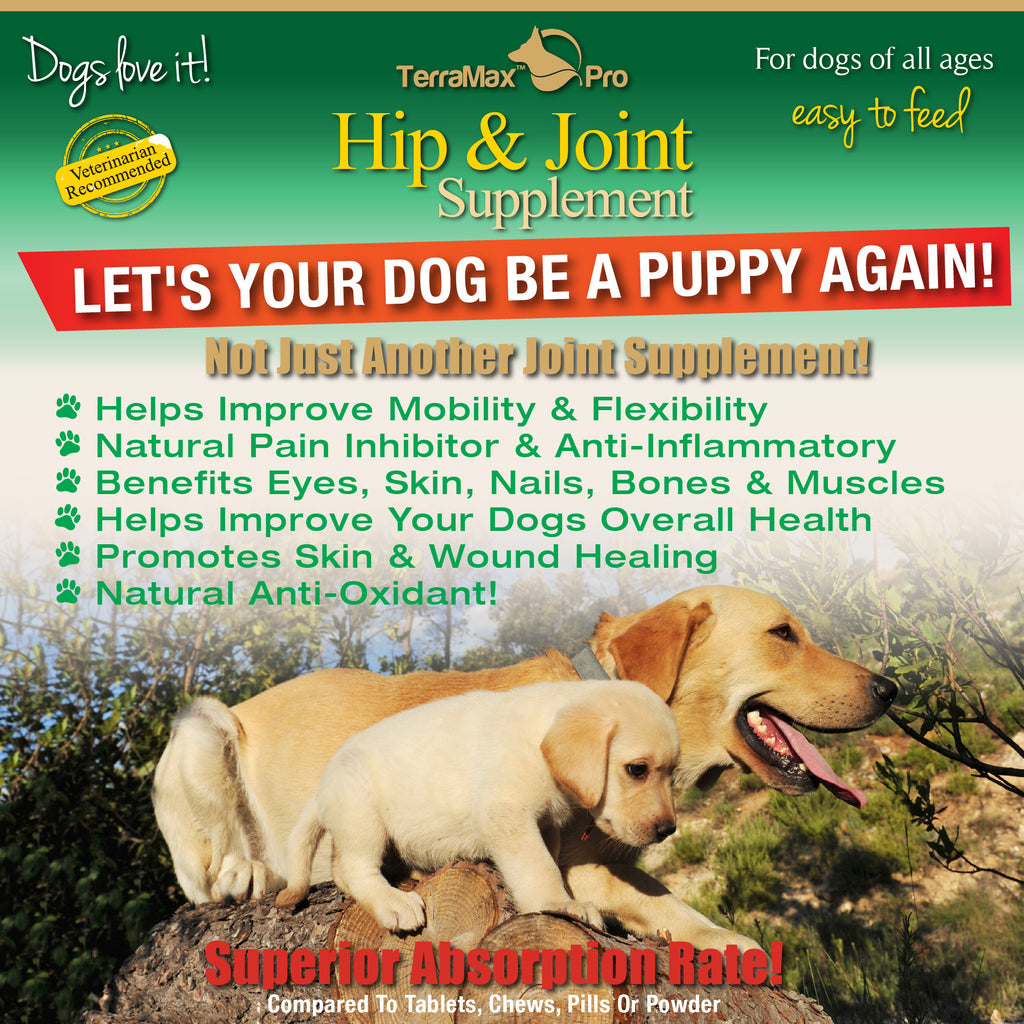 Hip & Joint Advanced for Dogs